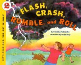 Flash, Crash, Rumble, and Roll (eBook, ePUB)