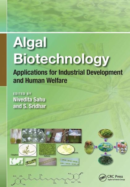 Algal Biotechnology (eBook, PDF)