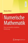 Numerische Mathematik (eBook, PDF)