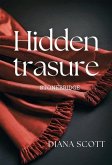 Hidden Trasure (Stonebridge, #1) (eBook, ePUB)