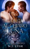 Omega al chiaro di luna: sei mesi dopo (eBook, ePUB) Omega al chiaro di luna: sei mesi dopo (eBook, ePUB)