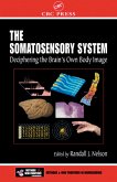The Somatosensory System (eBook, ePUB) The Somatosensory System (eBook, ePUB)