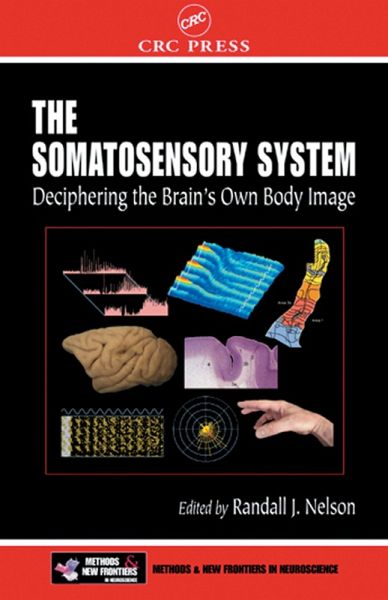 The Somatosensory System (eBook, ePUB) The Somatosensory System (eBook, ePUB)