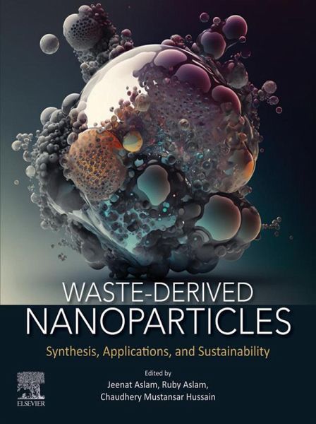 Waste-Derived Nanoparticles (eBook, ePUB) Waste-Derived Nanoparticles (eBook, ePUB)