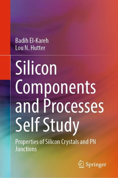 Silicon Components and Processes Self Study (eBook, PDF)