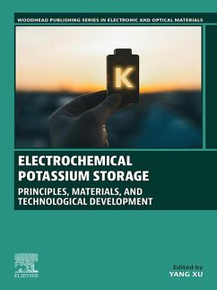 Electrochemical Potassium Storage (eBook, ePUB)