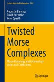 Twisted Morse Complexes (eBook, PDF)