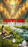Les esprits saints et le Saint-Esprit (eBook, ePUB)
