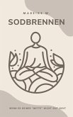 Sodbrennen (eBook, ePUB)
