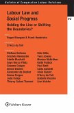 Labour Law and Social Progress (eBook, PDF) Labour Law and Social Progress (eBook, PDF)