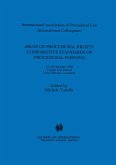 Abuse of Procedural Rights: Comparative Standards of Procedural Fairness (eBook, PDF)