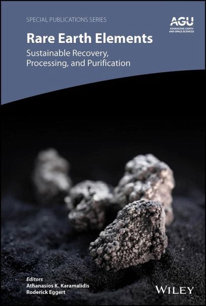 Rare Earth Elements (eBook, PDF)