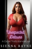 Unexpected Detours (A Cedar Trails Standalone, #3) (eBook, ePUB) Unexpected Detours (A Cedar Trails Standalone, #3) (eBook, ePUB)