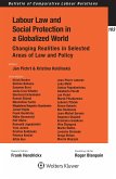 Labour Law and Social Protection in a Globalized World (eBook, PDF)