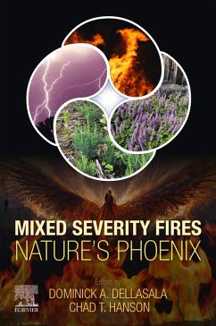 Cover Mixed Severity Fires (eBook, ePUB)