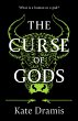 The Curse of Gods (eBook, ePUB) - Bild 1