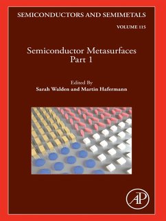 Cover Semiconductor Metasurfaces, Part 1 (eBook, ePUB)