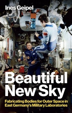 Beautiful New Sky (eBook, ePUB) - Geipel, Ines