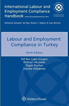 Labour and Employment Compliance in Turkey (eBook, PDF) - Vurgun, Elif Nur Cakir; Akcaalan, Gokhan; Kiziltan, Ozgur; Adiyaman, Zeynep