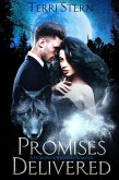 Promises Delivered (eBook, ePUB)