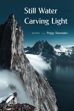 Still Water Carving Light (eBook, ePUB) - Shumaker, Peggy