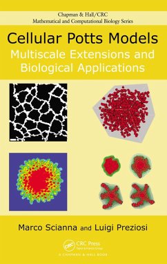 Cover Cellular Potts Models (eBook, ePUB)