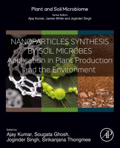 Nanoparticles Synthesis by Soil Microbes (eBook, ePUB) Cover Nanoparticles Synthesis by Soil Microbes (eBook, ePUB)