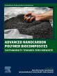 Advanced Nanocarbon Polymer... - Bild 1
