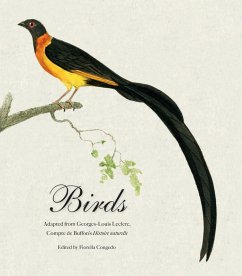 Cover Birds (eBook, ePUB)