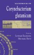 Handbook of Corynebacterium glutamicum... - Bild 1