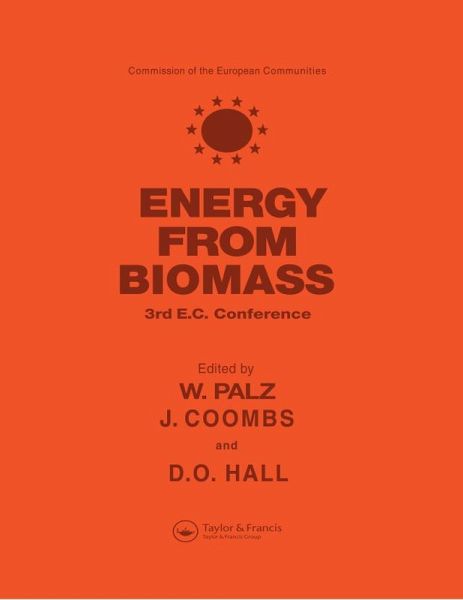 Energy from the Biomass (eBook, ePUB)