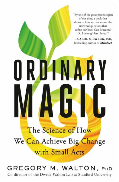 Ordinary Magic (eBook, ePUB)