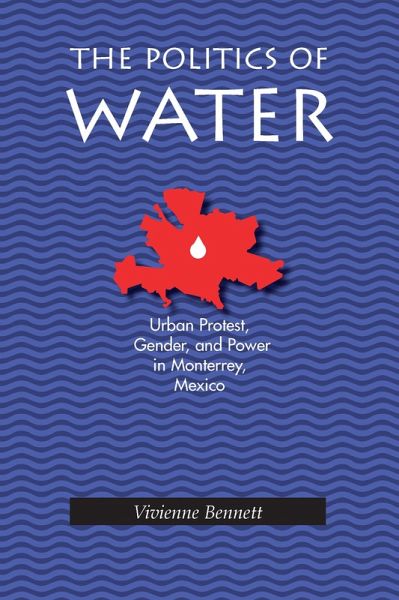 The Politics of Water (eBook, PDF)