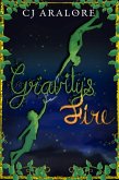 Gravity's Fire (eBook, ePUB) Gravity's Fire (eBook, ePUB)