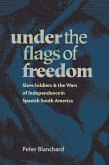 Under the Flags of Freedom (eBook, PDF) Under the Flags of Freedom (eBook, PDF)