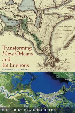 Transforming New Orleans and Its Environs (eBook, PDF)