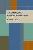 American Culture (eBook, PDF)