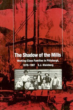 Cover The Shadow Of The Mills (eBook, PDF)