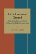 Little Common Ground (eBook, PDF) - Bild 1