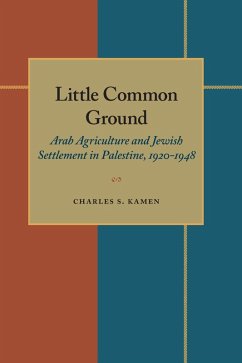 Little Common Ground (eBook, PDF) - Kamen, Charles S.