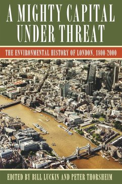 Cover A Mighty Capital under Threat (eBook, ePUB)