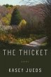 The Thicket (eBook, ePUB) - Bild 1