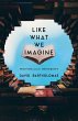 Like What We Imagine (eBook, ePUB) - Bild 1