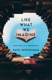 Like What We Imagine (eBook, ePUB) Like What We Imagine (eBook, ePUB)