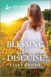 A Blessing in Disguise (eBook, ePUB) - Bild 1