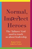 Normal, Imperfect Heroes (eBook, ePUB)