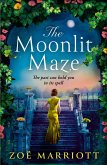 The Moonlit Maze (eBook, ePUB)