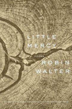 Little Mercy (eBook, ePUB) - Walter, Robin