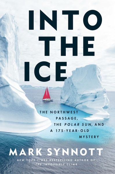 Into the Ice (eBook, ePUB)