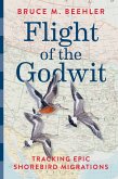 Flight of the Godwit (eBook, ePUB)